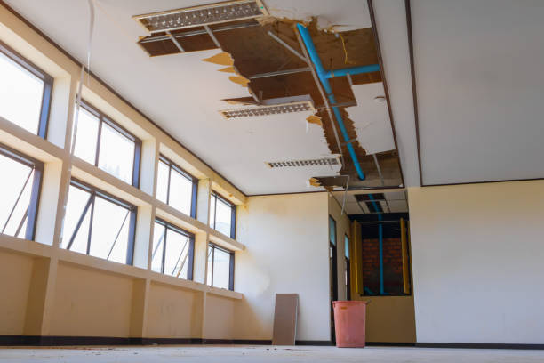 Best Fire Damage Restoration  in Apalachin, NY