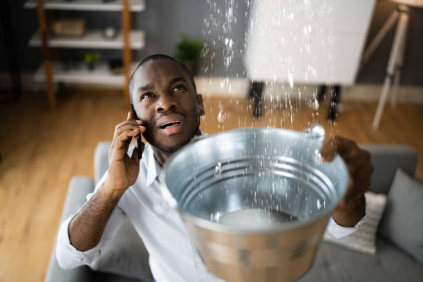 Best Flood damage cleanup  in Apalachin, NY
