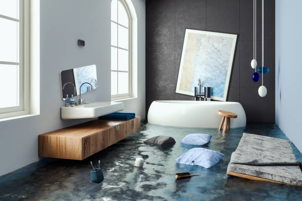 Best Professional water damage repair  in Apalachin, NY
