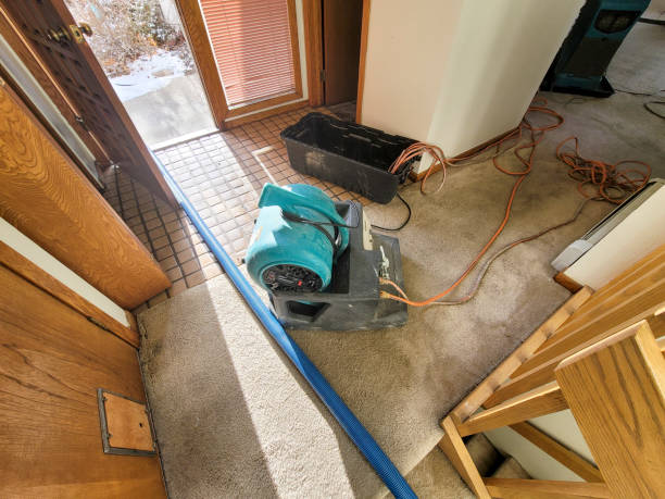 Best Water damage restoration near me  in Apalachin, NY