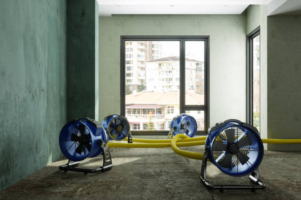 Best Carpet water damage restoration  in Apalachin, NY